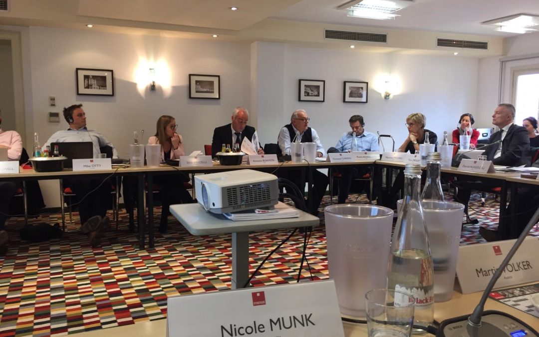 Internationales Meeting – Einblicke aus den anderen 15 SYNERGIE-Ländern im Überblick mit Nicole Munk